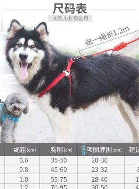 harness collar dog chain walk dog leash durable scottish