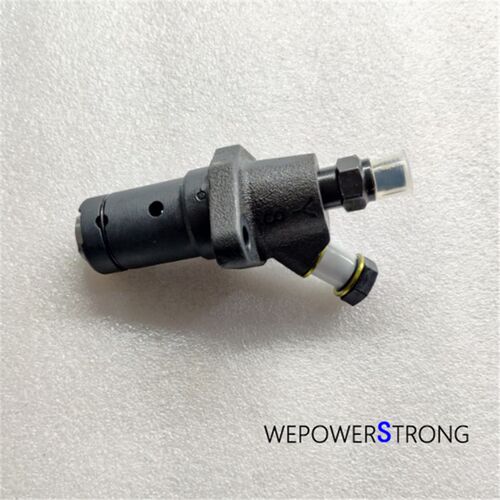 Fuel Pump Injection Pumper Fits for China Model 168FD 170FD
