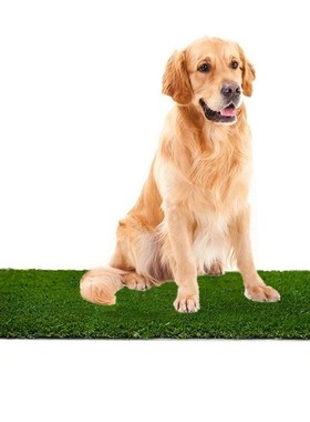 Grass-Mat Potty Artificial-Grass Dog Training Outdoor Large