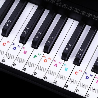 88/61 key color piano letter notes stickers keyboard hand r