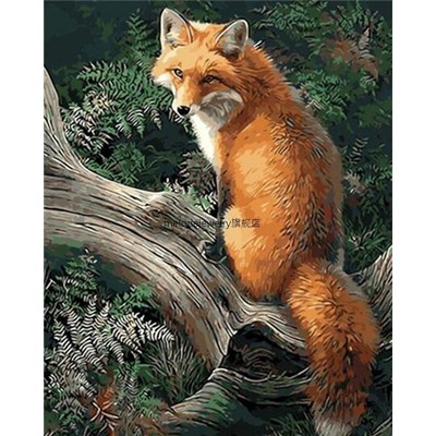 Paint By Number Canvas Painting Kits Fox 40X50cm No Frame DI