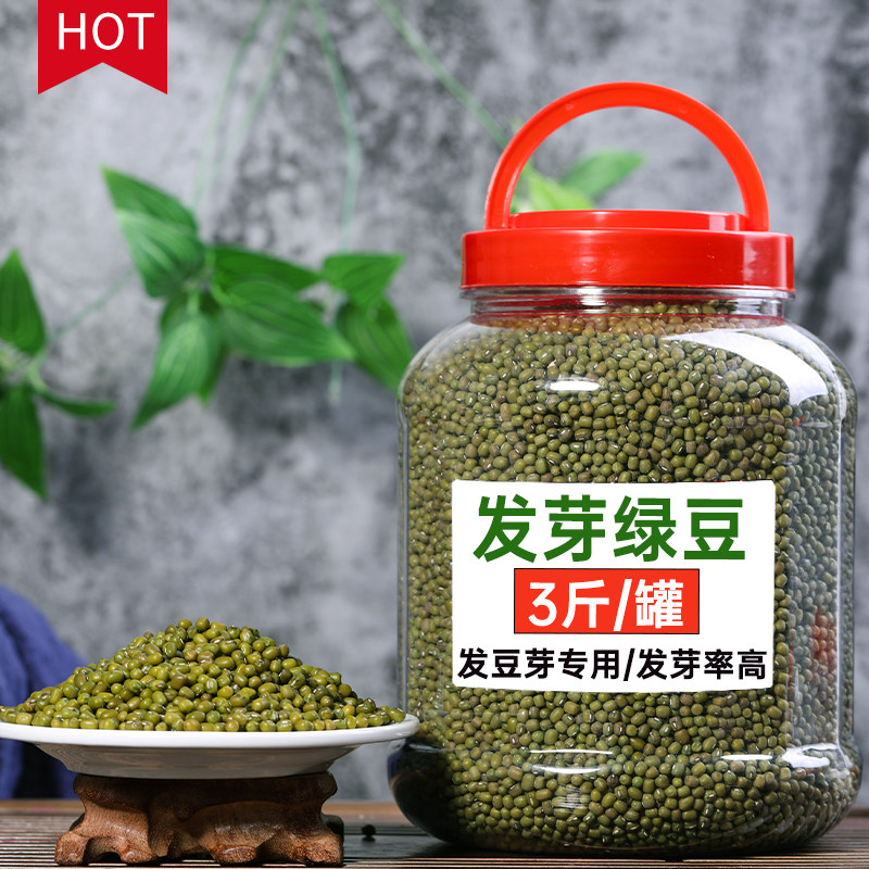 【优选罐装】发芽绿豆3斤发豆芽的绿豆 发豆芽菜专用豆子神器芽豆