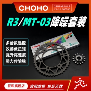 套装 征和旗舰店适用于摩托车雅马哈MT R3油封链条链轮改装 YZF