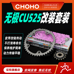 征和旗舰店适用隆鑫无极CU525皮带改链传动油封链条链轮牙盘套装