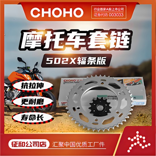 征和链条链轮BJ502X552X