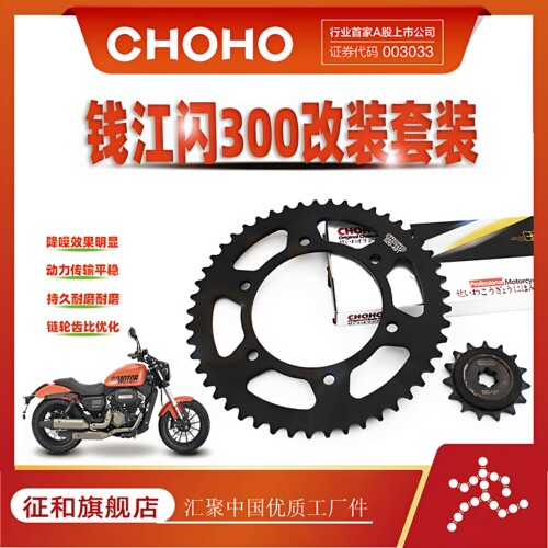 征和闪QJ300S链轮静音油封链条