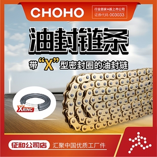 530HX2摩托车静音油封链条链轮套装 525 套链 428 征和链条旗舰店