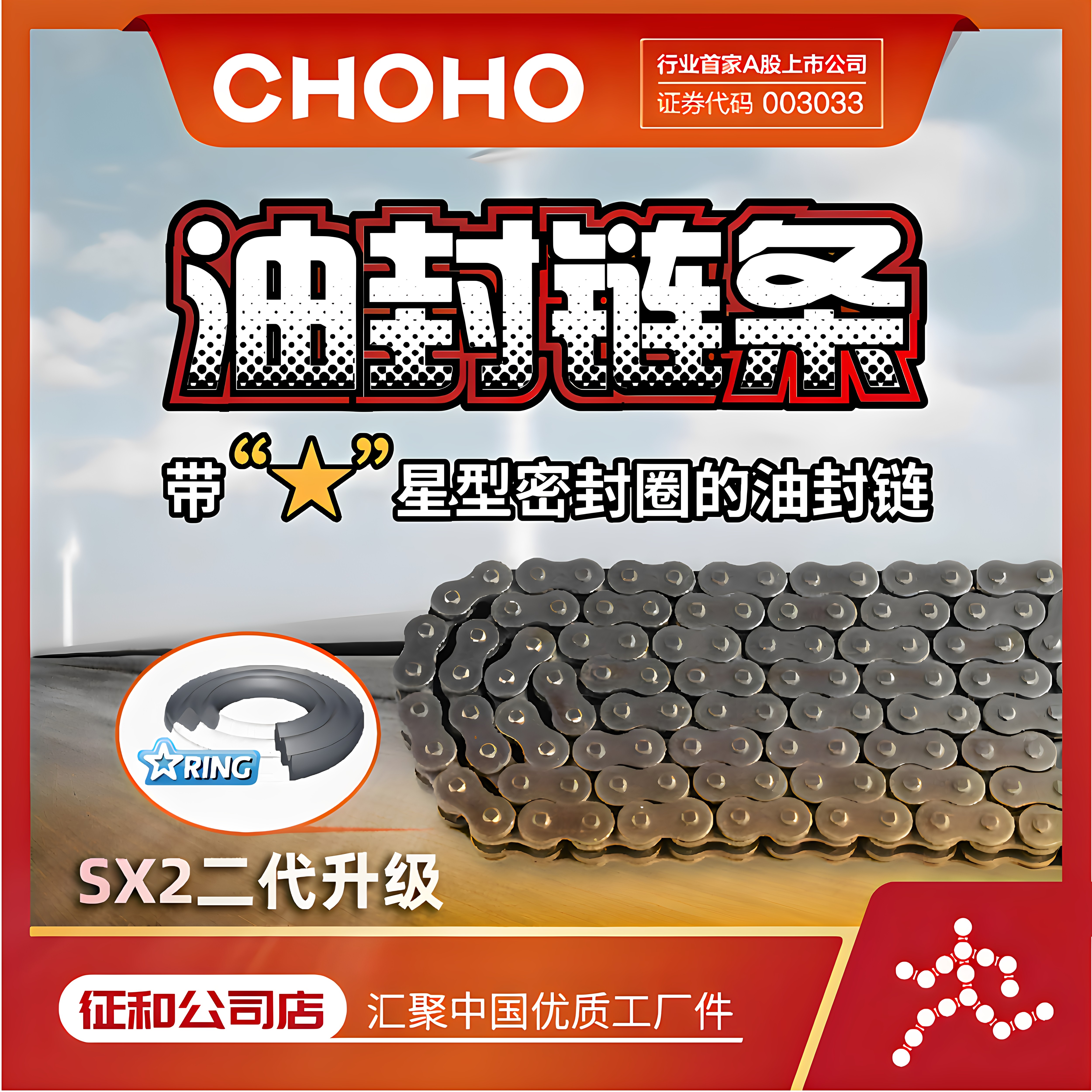 征和油封链条SX2VZ大排量车用图片