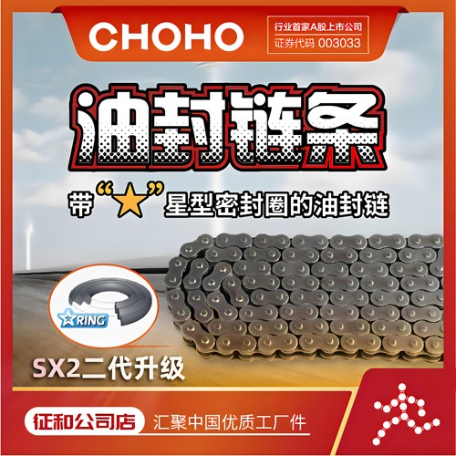 征和油封链条SX2VZ大排量车用