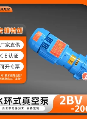 2BV2060水环式真空泵防爆BT4电机石油化工制药气体传输泵