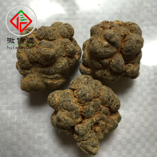 工厂徽信远文山三七田七20头水洗三七10头三七王水洗量大