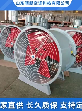 BZF51防爆轴流风机工业级220v380v排风扇CBF-250BAF6-4管道通风机