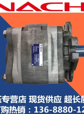 原装德国福伊特齿轮泵IPV7-160