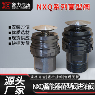 菌型阀蓄能器组件 直供NXQ蓄能器进油阀 40L螺纹法兰型进油阀