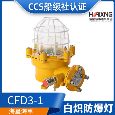 海星海事船用铜质白炽防爆灯CFD1/2/3/4a-I防水100W60W CCS证