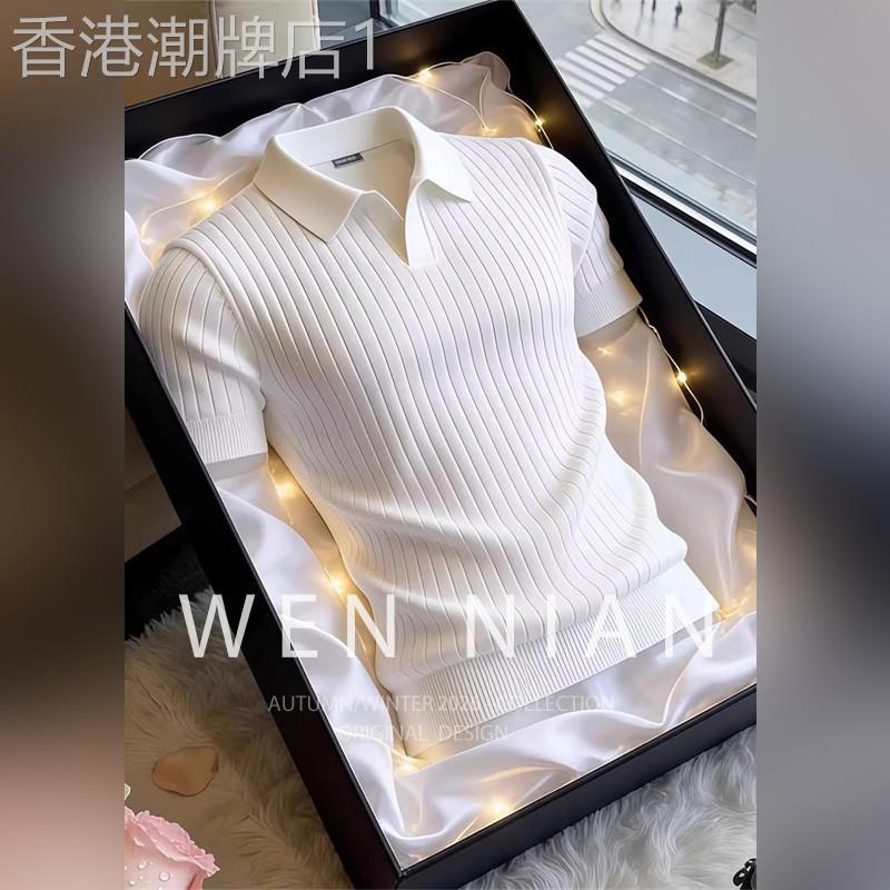 韩国WEN NIAN高级感条纹短袖T恤男2026夏季新款老钱风海鸥领上衣