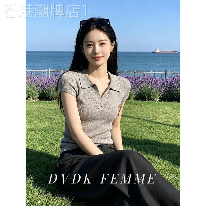 V领polo衫针织短袖T恤女2026夏季新款老钱风设计感翻领正肩小上衣
