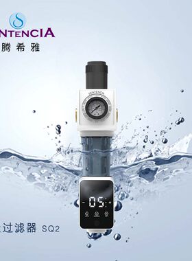 圣腾希雅自动反冲洗前置过滤SQ2