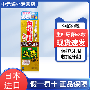 日本进口小林制药生叶牙膏齿槽脓漏牙肉松动固齿100g天然植物成分
