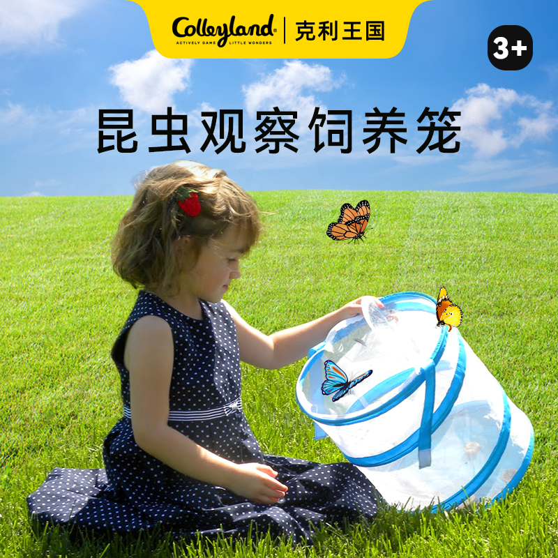 昆虫观察蝴蝶饲养纱网透气