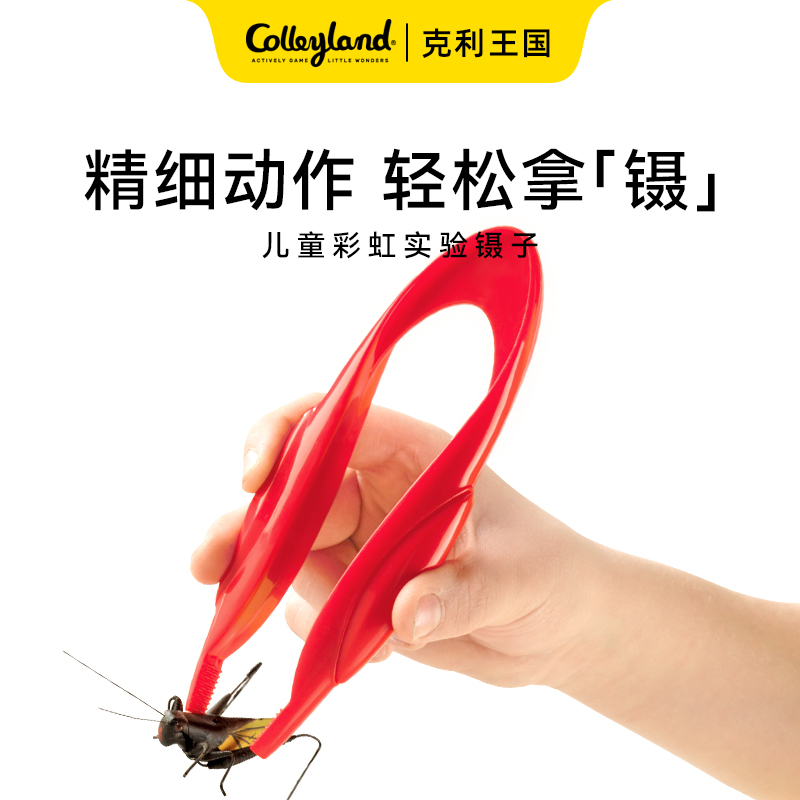 平头镊子昆虫采集工具锻炼手指