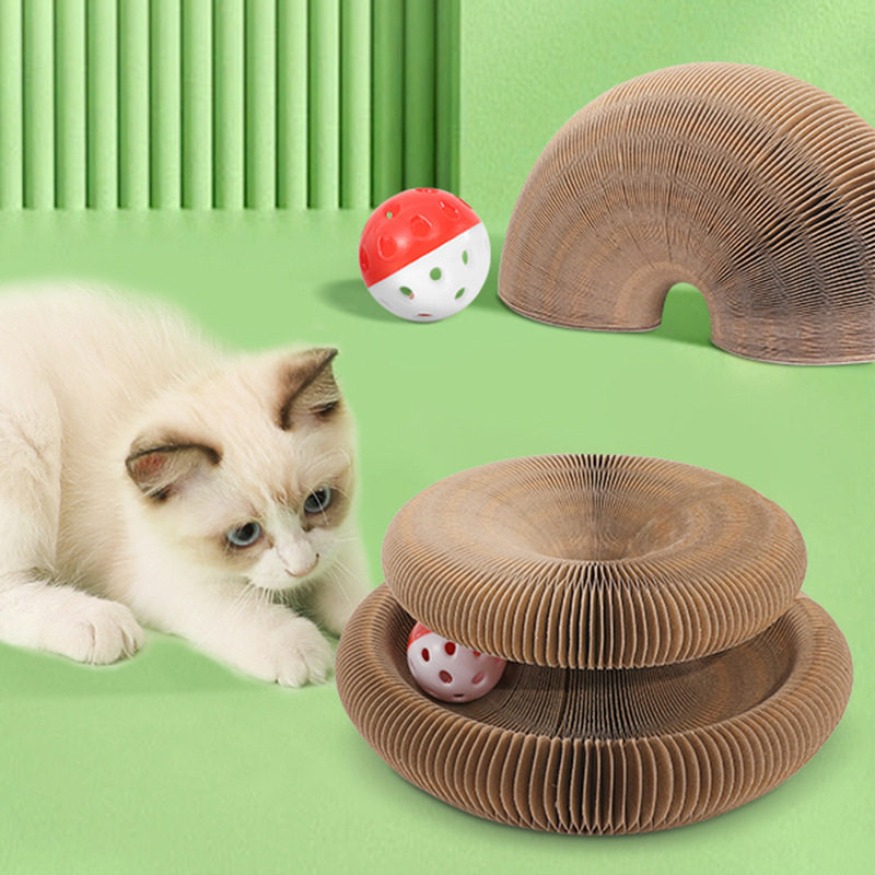 抖音网红爆款魔术风琴猫