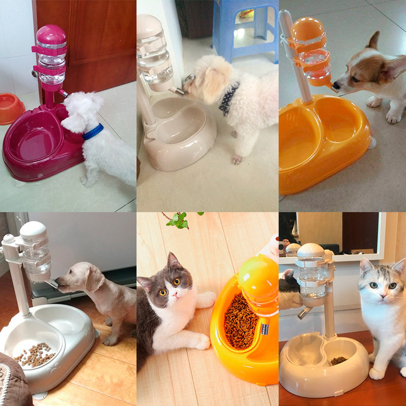 狗狗饮水器宠物自动机