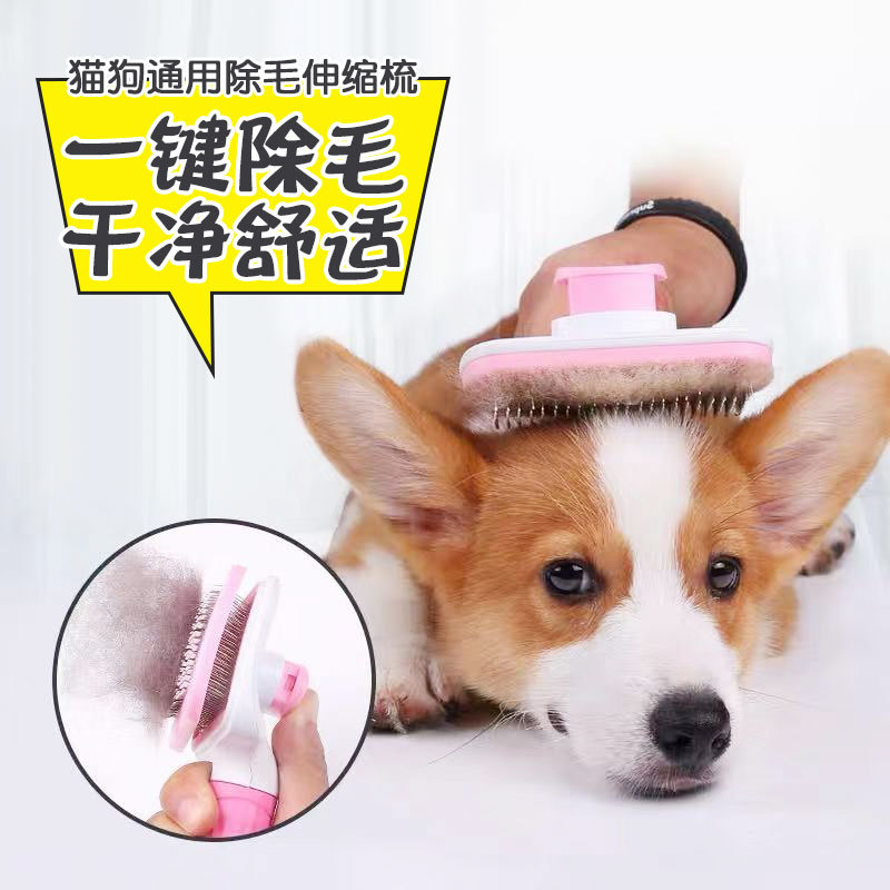 猫咪梳子狗毛梳去浮毛泰