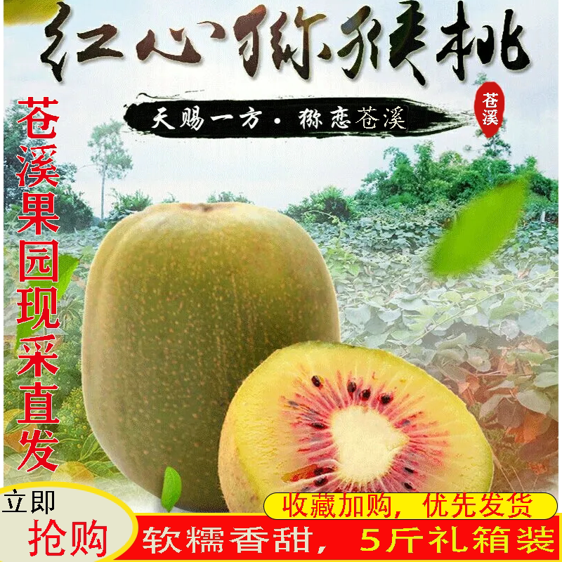 整箱约5斤苍溪红心猕猴桃甜润