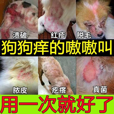 狗狗皮肤病外用药宠物真菌感染脱毛皮屑结痂长红疙瘩狗癣专用喷剂