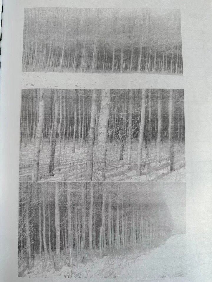 绥棱县绥中乡海林村四组西南山林权