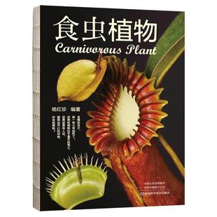 瓶子草 书 猪笼草 茅膏菜 形态特征 杨红珍 多栖狸藻 食虫植物 植物食虫过程 彩图食肉植物科普书籍 捕虫堇 捕蝇草