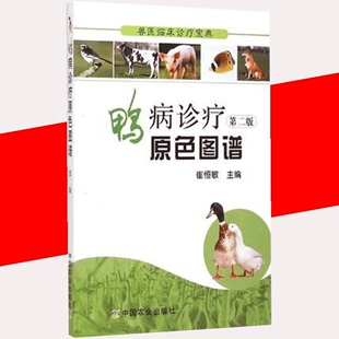 第二版 养殖书籍 兽医临床诊疗宝典 鸭病诊疗原色图谱 正版 崔恒敏编著 鸭病防治彩色图解图说图鉴 书