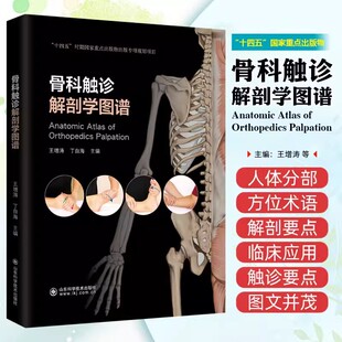 【书】骨科触诊 解剖学图谱 王增涛 丁自海 主编 介绍了骨科触诊相关的临床解剖学知识和手法 山东科学技术出版社 9787572320200