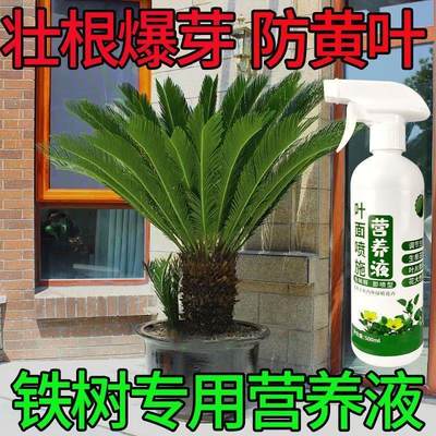 磷酸二氢钾肥料花卉专用铁树营养液专用肥叶片发黄落叶干枯烂根急