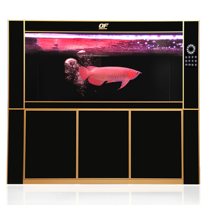 OF御龙殿聚龙专业龙鱼缸客厅公司大型水族箱超白玻璃订做定制