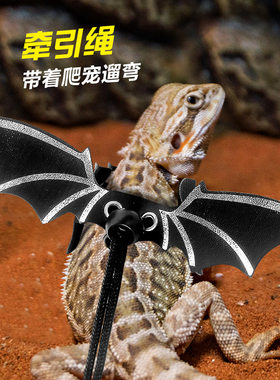 蜥蜴龙猫松鼠专用宠物外出牵引绳