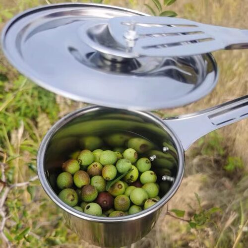 加厚不锈钢摘酸枣好工具