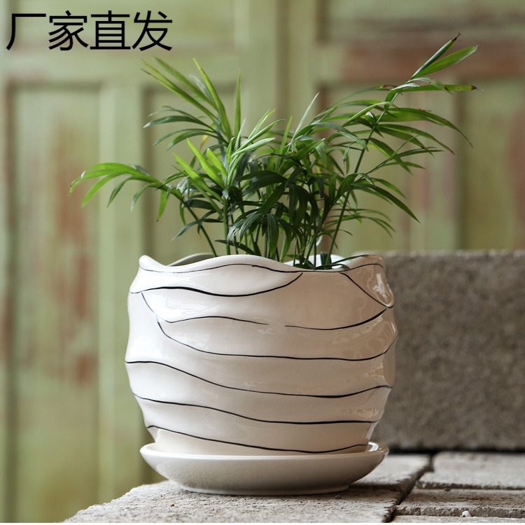 各种陶瓷花盆带托盘中号创意肉肉植物花盆多肉花盆TEMU贴标