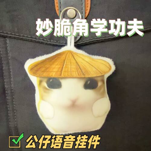 丑萌学功夫公仔语音钥匙扣挂饰