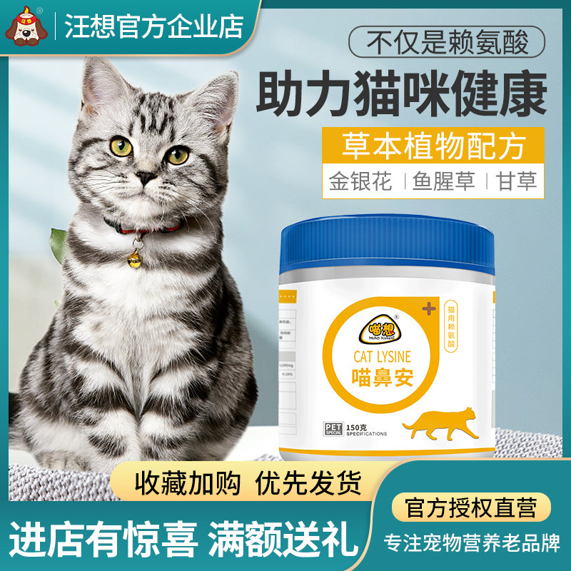 趣喵胺素材模板 趣喵胺图片下载 小麦优选