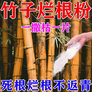 【一撒枯一片】烂根竹子专用粉强力灭竹根烂根粉杀树竹草连根烂JM