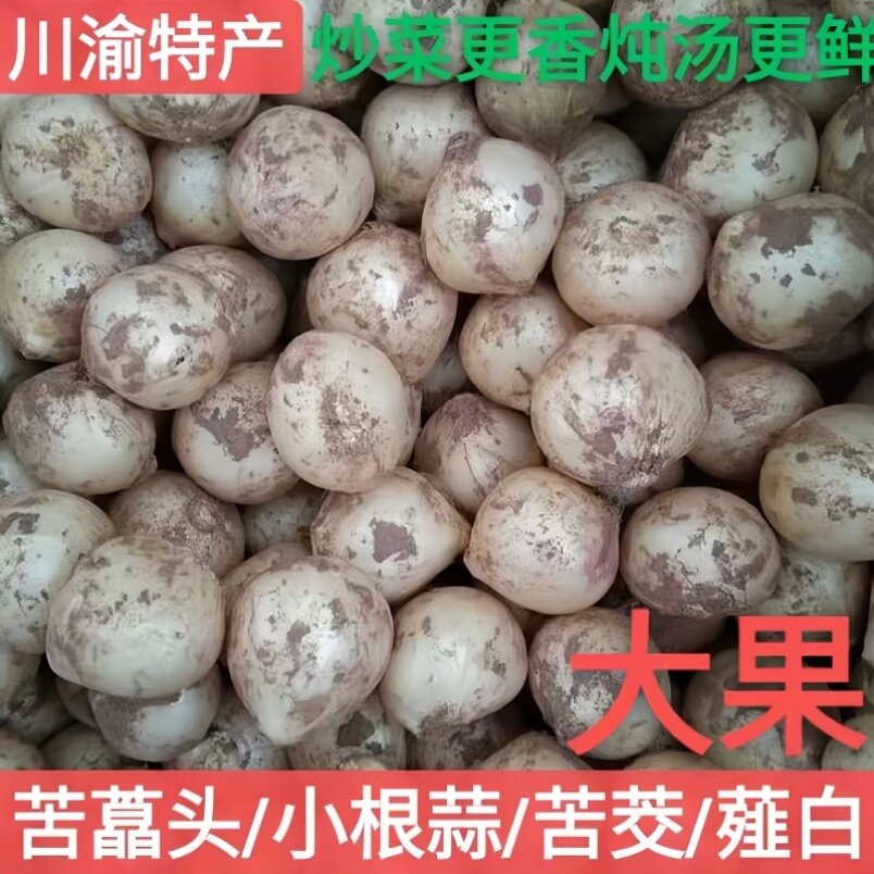 四川特产新鲜苦藠团蒜小蒜野苦茭野葱头圆蒜小头蒜薤白洋蒜