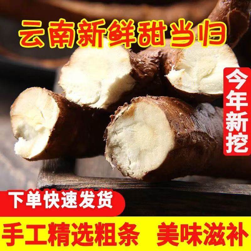 云南新鲜甜当归西归现挖芹根整根散装独角归5斤包邮药膳火锅食材