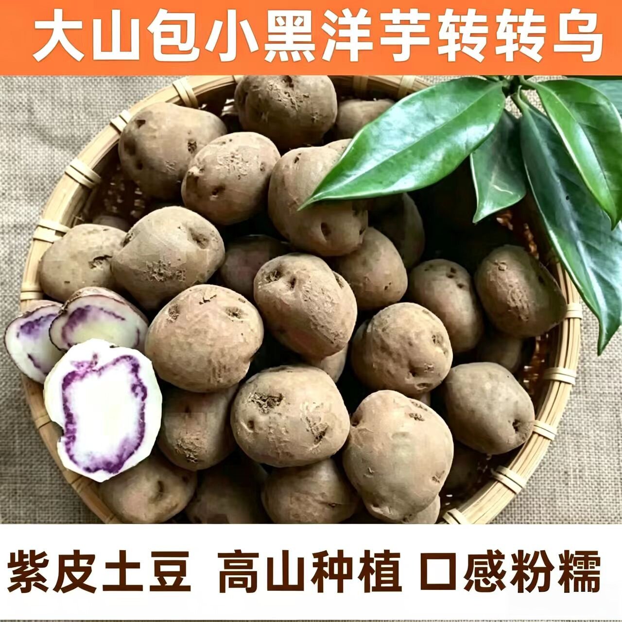 云南昭通七彩乌洋芋新鲜土豆紫皮豆黑农家七彩马铃薯老品种粉面好