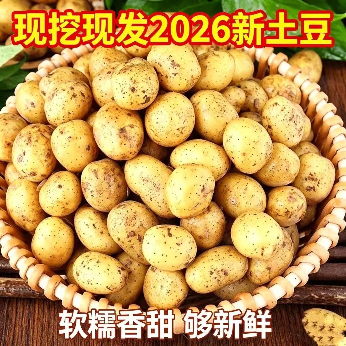 2026年新小土豆农家非转基因土豆现挖黄心高山新鲜农你马铃薯洋芋