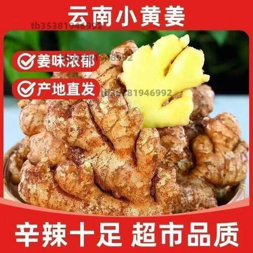 正宗云南小黄姜老姜生姜批发应季新鲜蔬菜土姜辛辣调味料月子姜