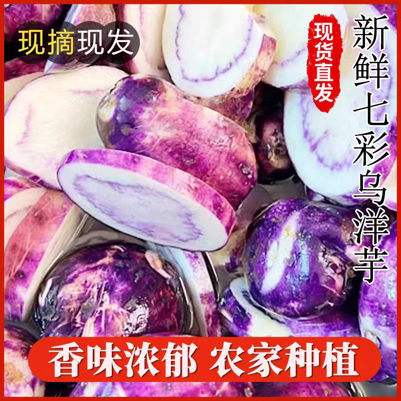 大凉山七彩乌洋芋土豆新鲜现挖农家紫心花青素小土豆整箱产地直发