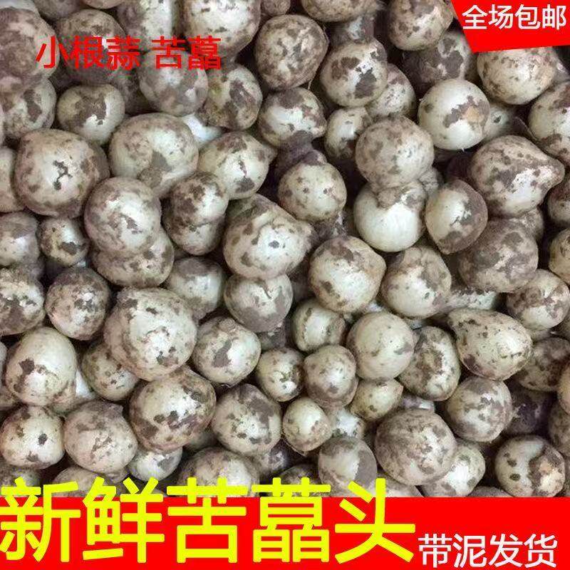 品质苦藠新鲜团葱四川苦藠头苦茭小根蒜薤白野葱头八斤包邮