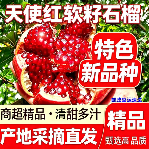 四川水果会理天使红软籽薄皮酸石榴当季孕妇水果大甜石榴邮政空运